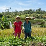 Bali Trekking Tour- explore the rich cultural history of Bali