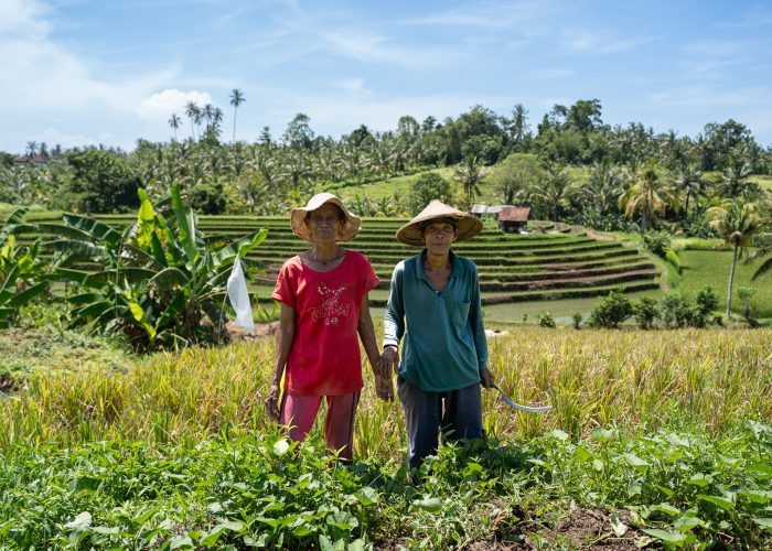 Bali Trekking Tour- explore the rich cultural history of Bali