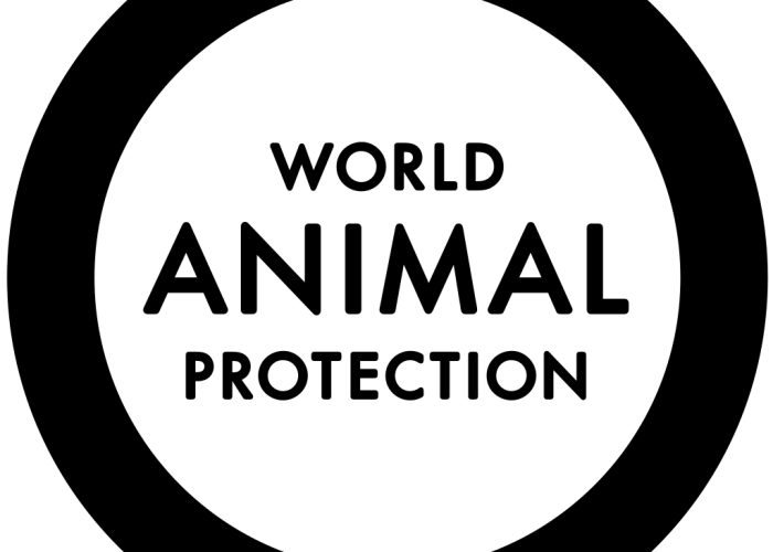 Wicked Adventures - world animal protection logo large